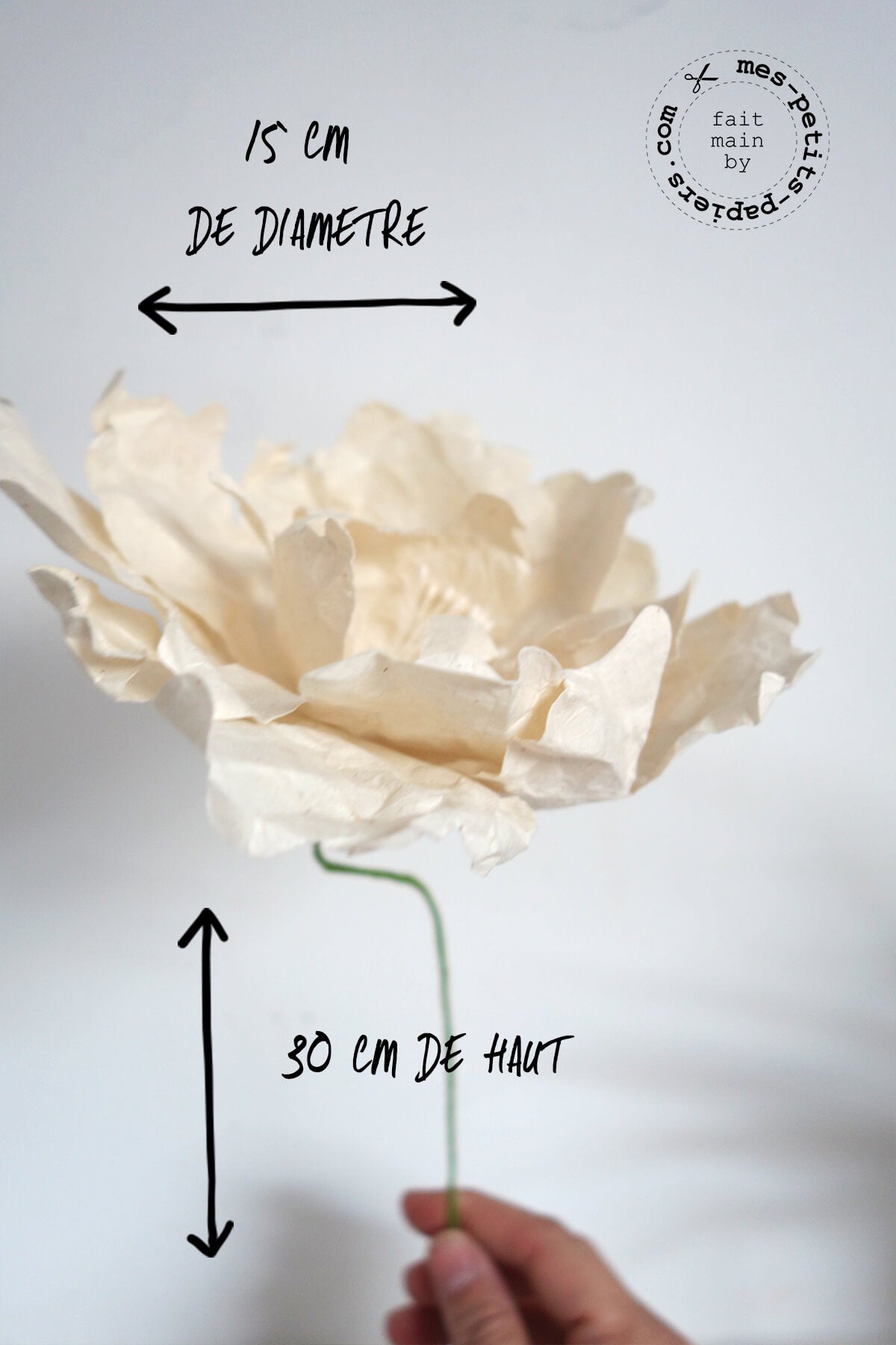 Fleur Lokta - Mundesi